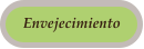 Envejecimiento